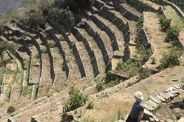 san pedro wachuma session