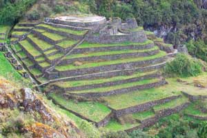 san pedro wachuma session