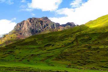 san pedro wachuma session