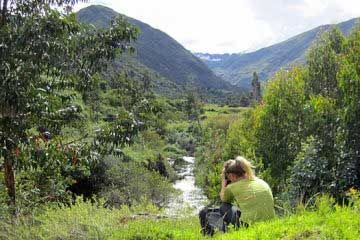 san pedro wachuma session