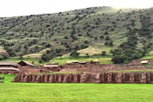 coca leaves unification ceremony