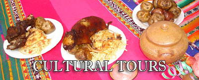 other ayahuasca retreats